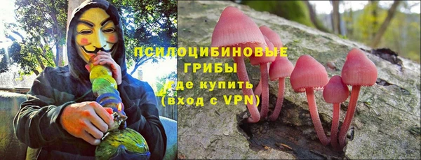 винт Наволоки