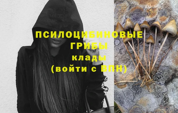 трава Долгопрудный