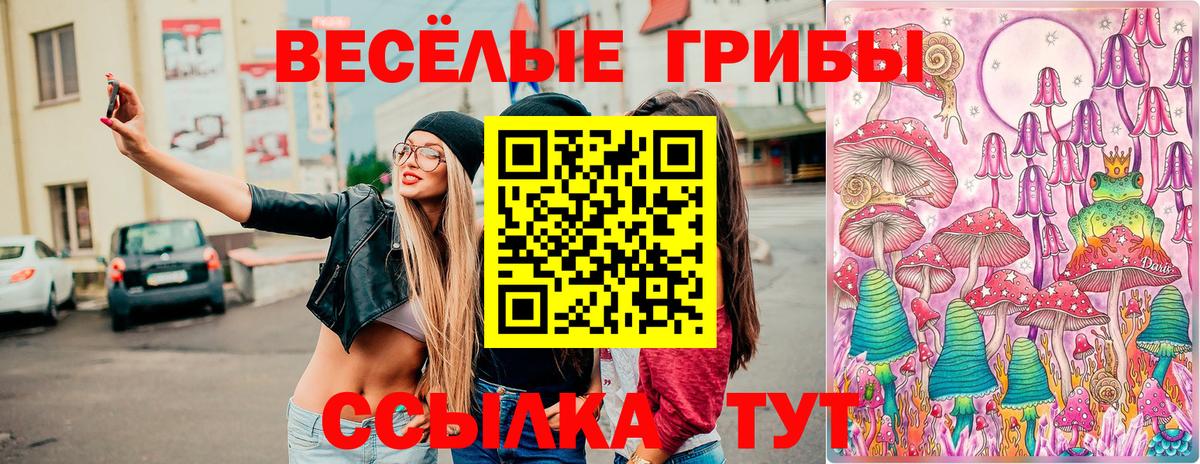 Галлюциногенные грибы Cubensis Ульяновск